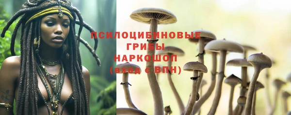 каннабис Баксан