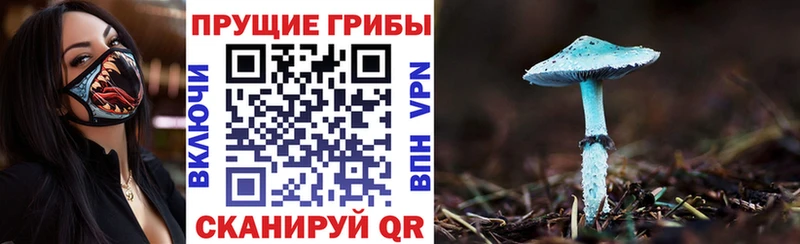 Галлюциногенные грибы мицелий  Краснообск 